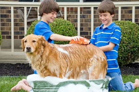 Making Bath Time an Enjoyable Experience Making Bath Time an Enjoyable Experience